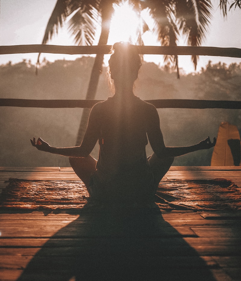 Meditation & Wellness